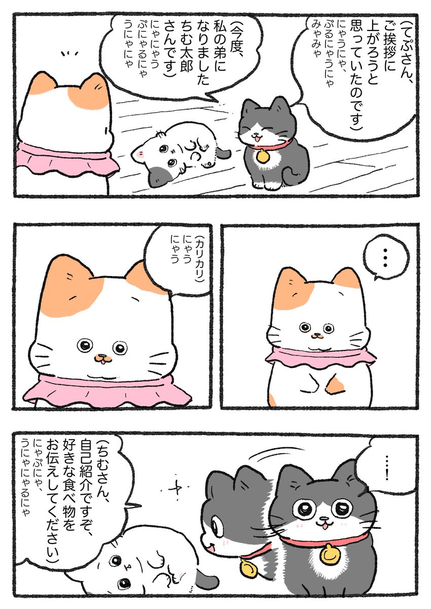 ねこに転生したおじさん。その747