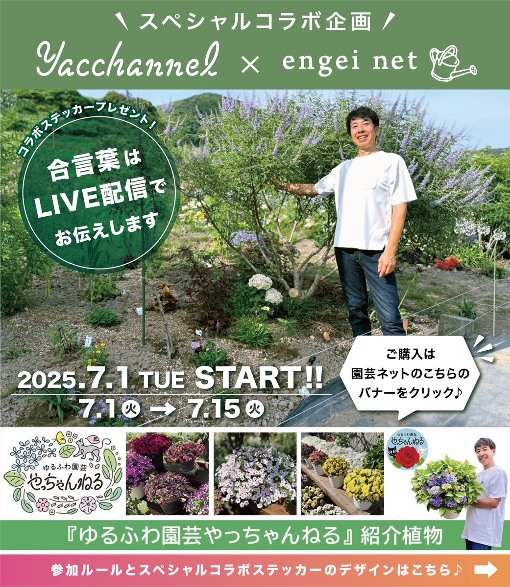 ゆるふわ園芸やっちゃんねる (@ohana_ohana_y) / Posts / X