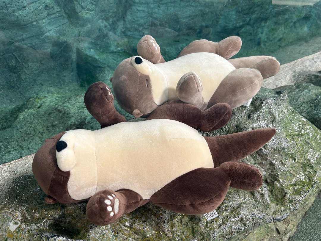 これまでとはひと味違う！ へそてんポーズのカワウソぬいぐるみクジを