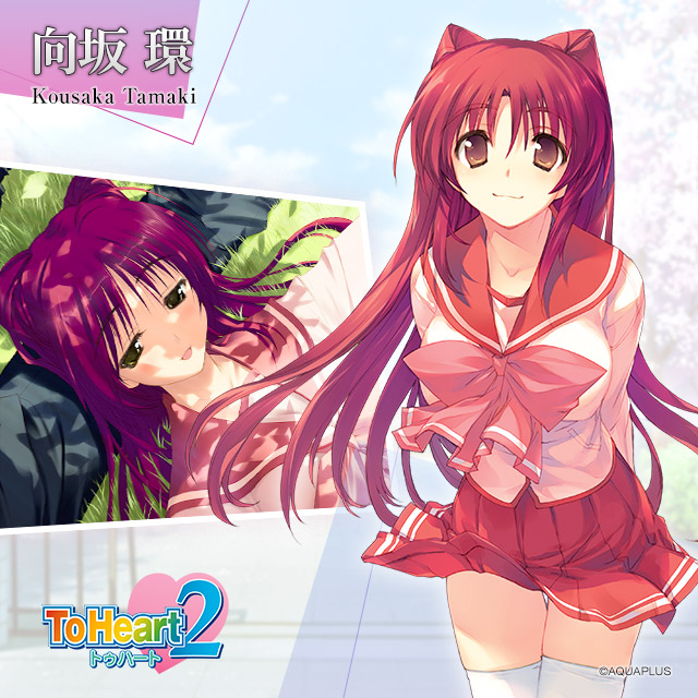 ToHeart2　アクアプラス Lycee『向坂 環』直筆サイン