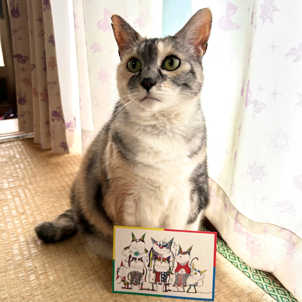 猫六堂＊鈴木信也 (@nekorokudou) / Posts / X