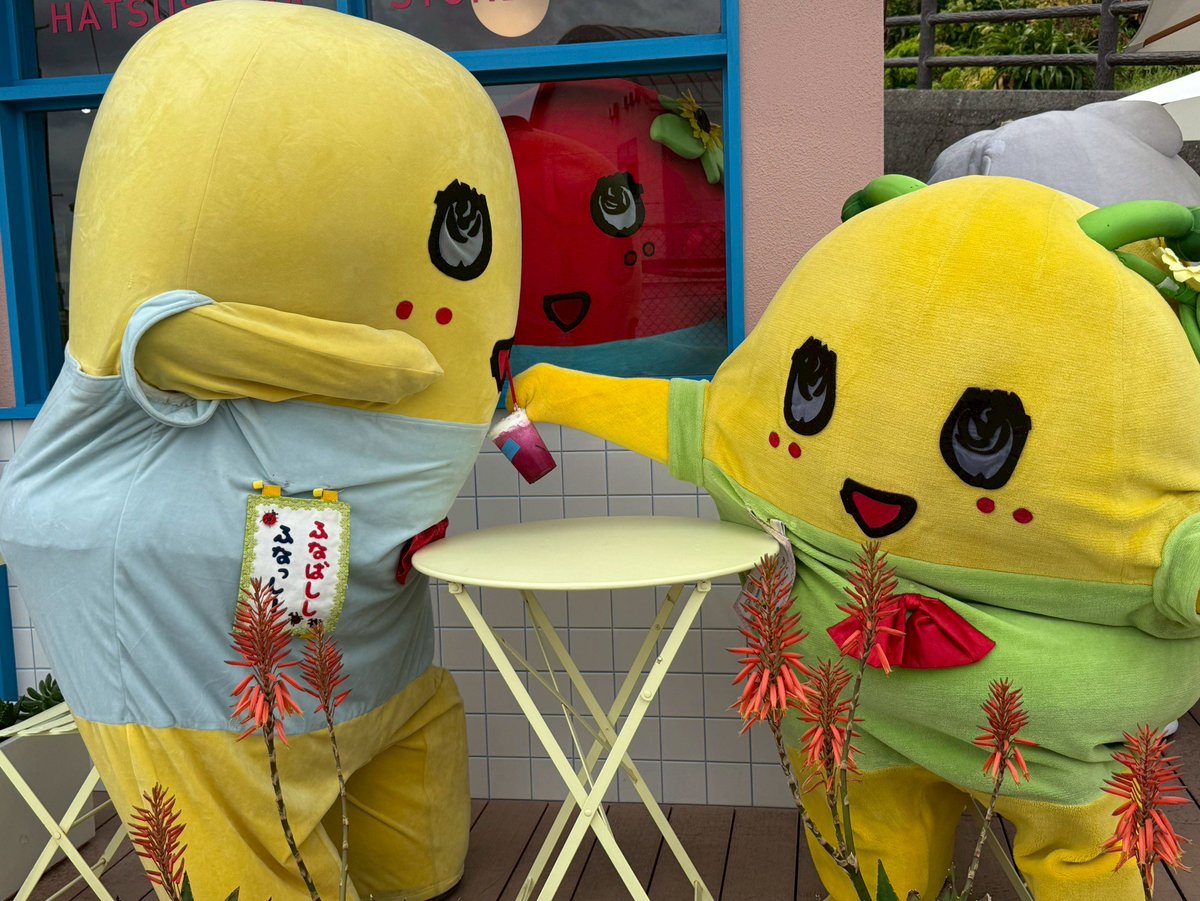 キラリンーン！(。゜▽゜)いる！ニュータイプの感が！そこか