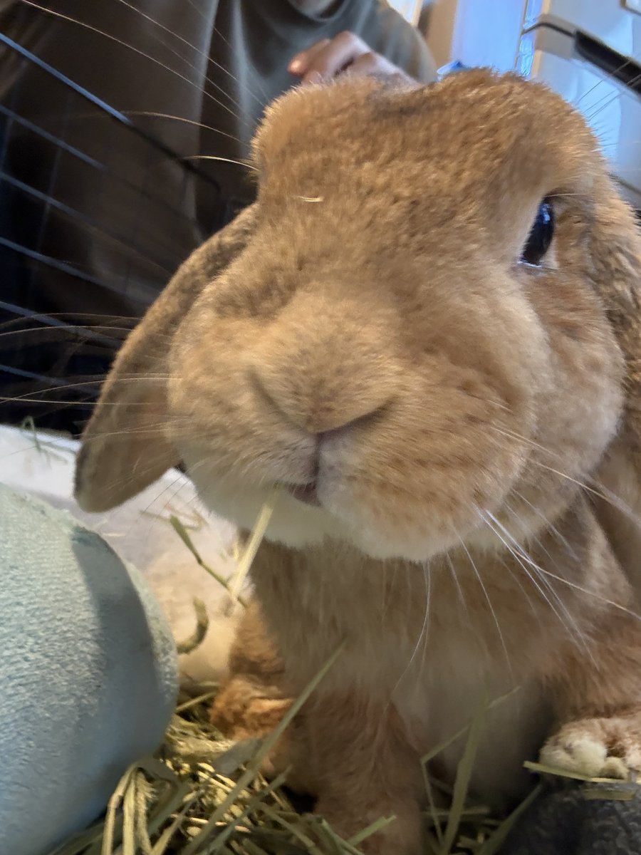 もっちゃん（TAKUMI） (@koedo_tyan) / Posts / X