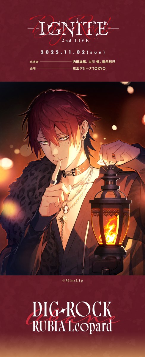 ✦: ┈┈┈┈┈:✦ ⚡️DIG-ROCK⚡️ -2nd LIVE IGNITE