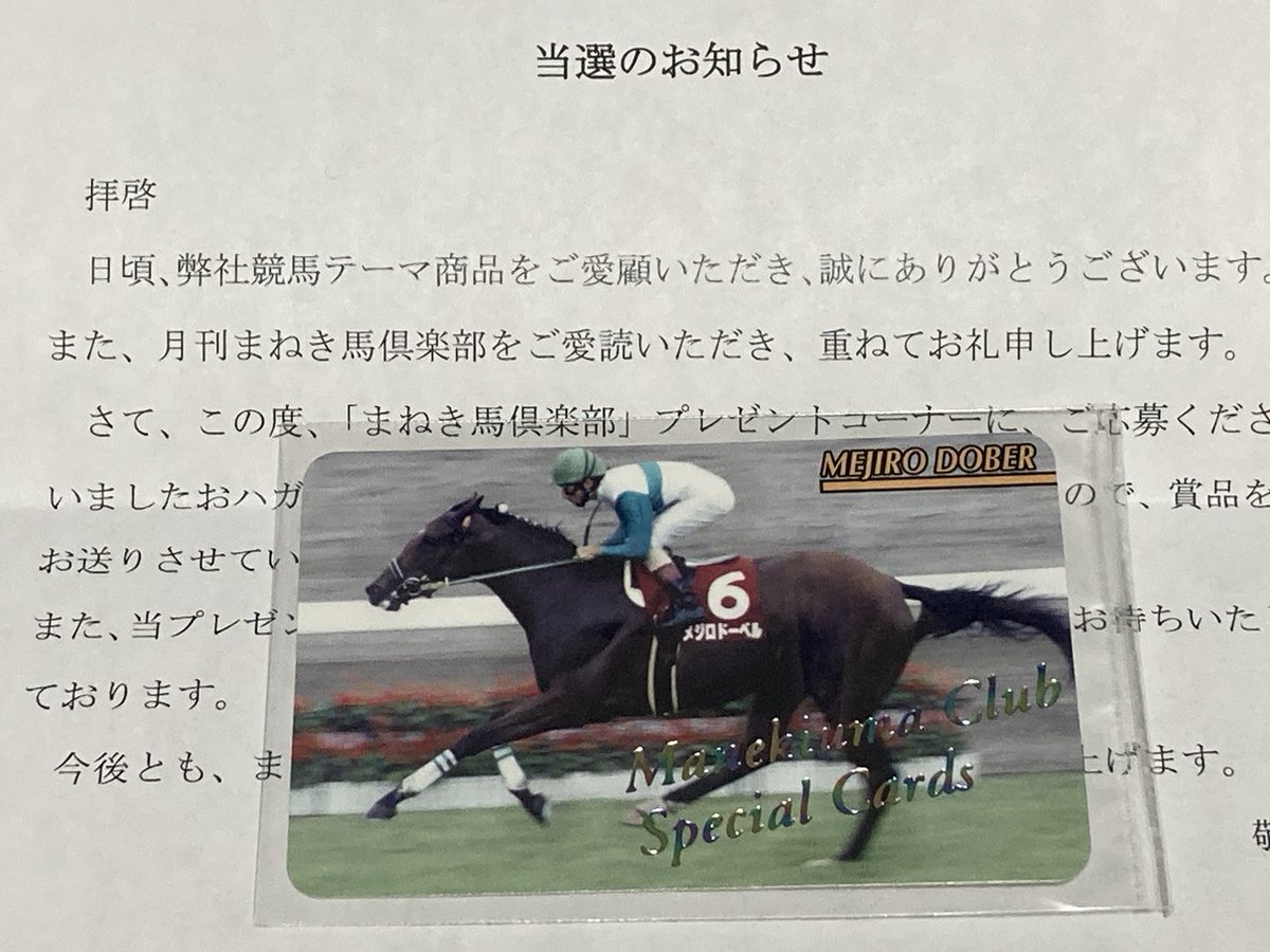 タマモクロス レインボーカード No.424 まねき馬 東ハト タマモクロス