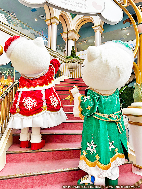 キティとダニエルは 星を飾るところを探していたのかな？🌟 🎄本日より