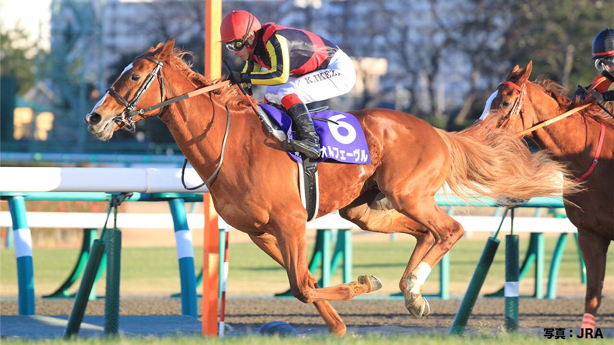 第68回 #有馬記念(GI)まであと1時間🔥／ 第56回と第58回の優勝馬は