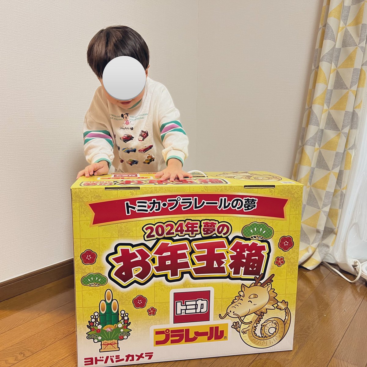 ヨドバシ福袋 トミカプラレールの夢 届いた時からロゴが見えてるので