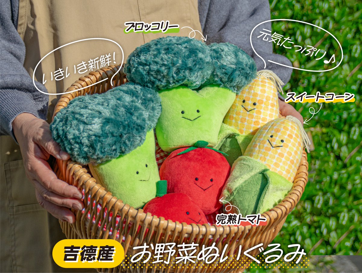 吉徳でのお野菜ぬいぐるみの収穫、始まっています〜！ 皆様の食卓にお