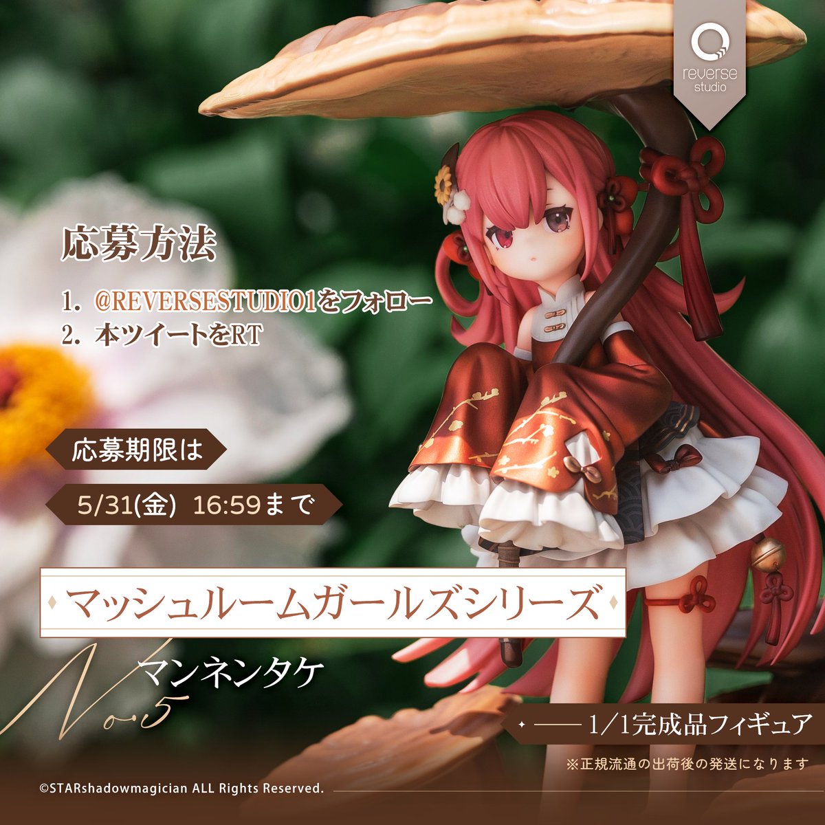 マッシュルームガールズシリーズ」第5弾、キノコの女の子