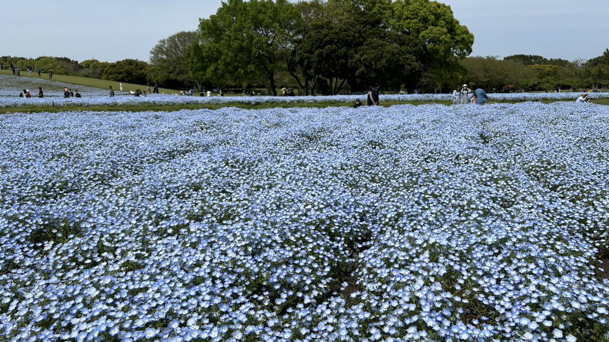 あやたか (@zx1000b1) / Posts / X