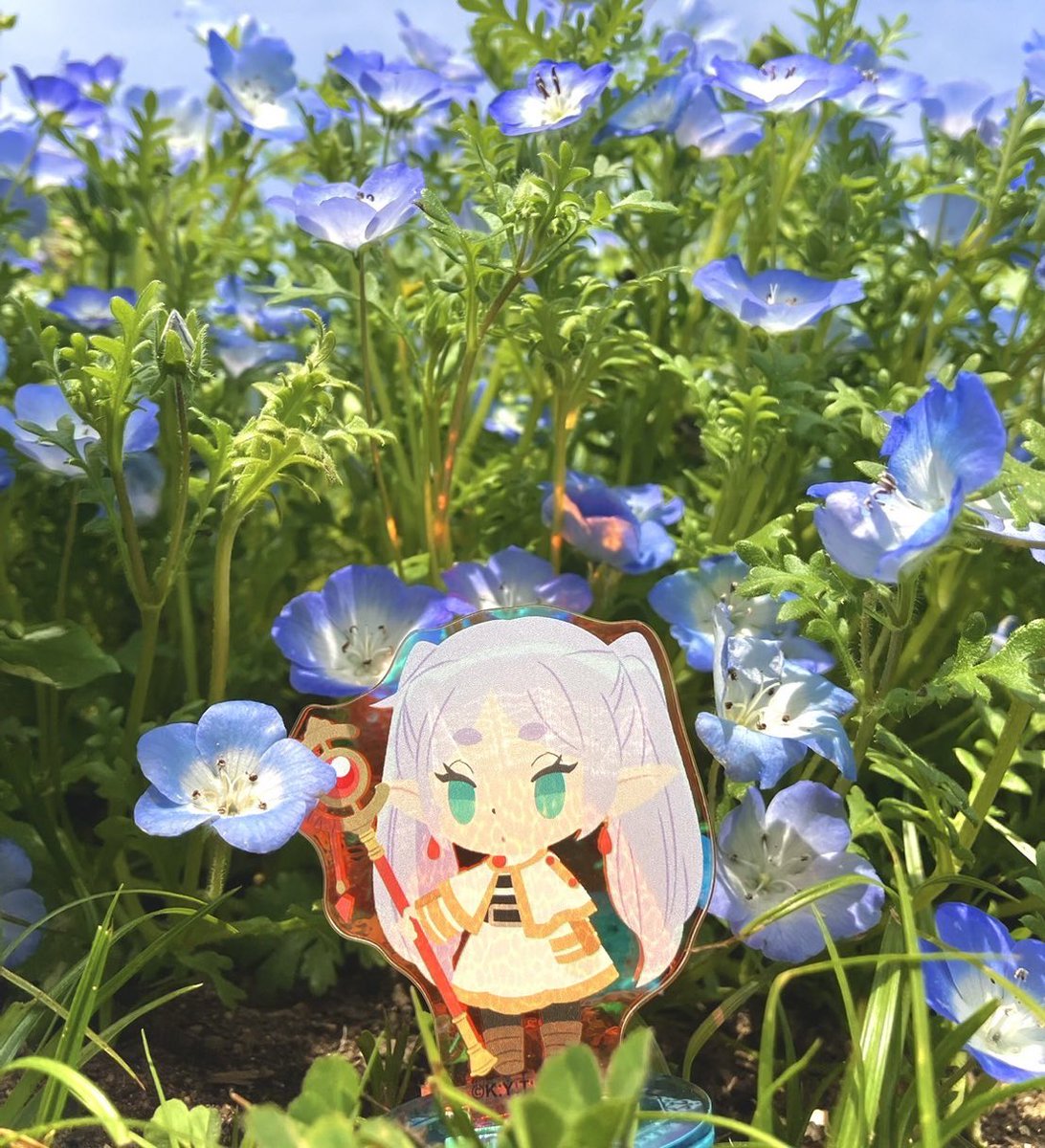 あやたか (@zx1000b1) / Posts / X