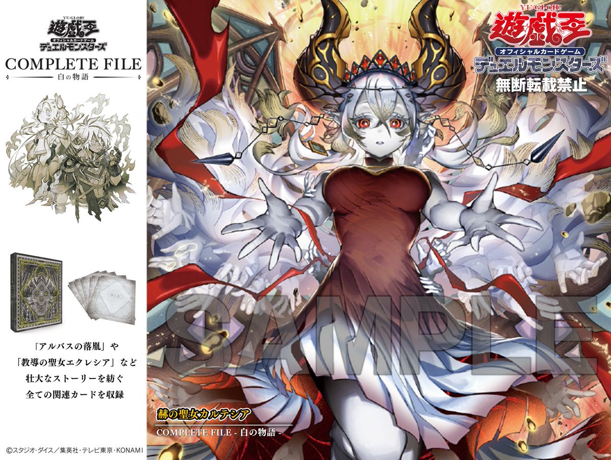 受付終了まで あと2⃣日💦 ＼ 完全受注生産商品 COMPLETE FILE－白の