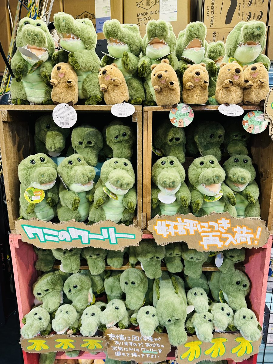 🍌🐊ワニのワーリー🐊🍌 ワニのワーリー、再入荷🐊✨ この、何も考えて