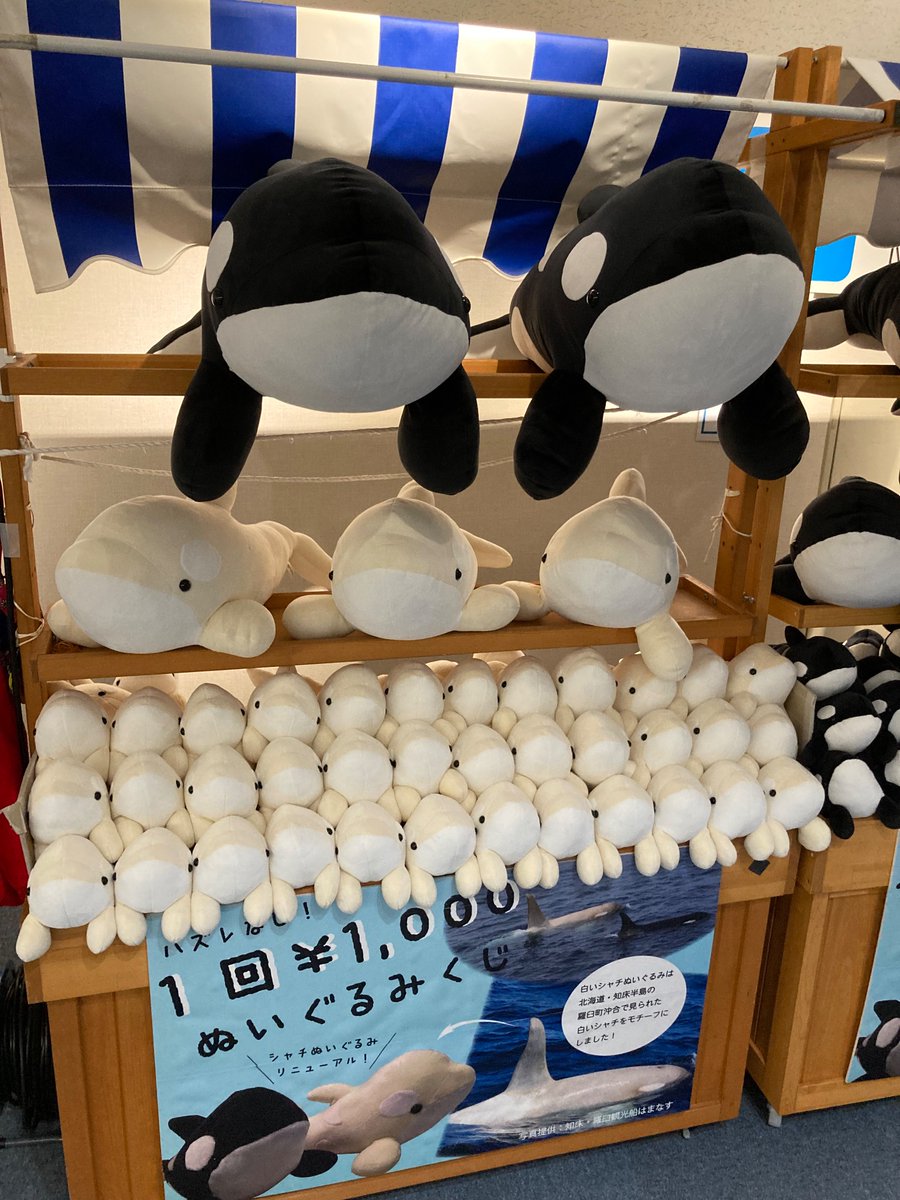 名古屋港水族館に行く人へ 白黒のシャチが当たるぬいぐるみくじ、今日