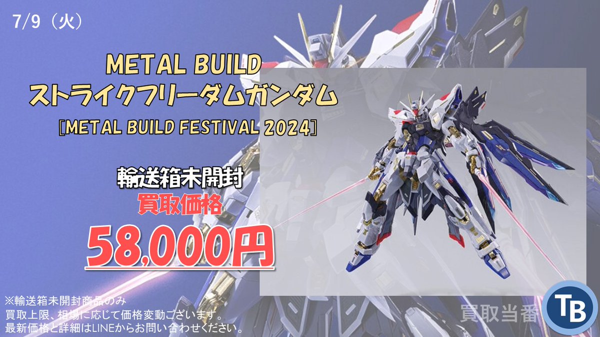 METAL BUILD ストライクフリーダム ガンダム [METAL BUILD FESTIVAL