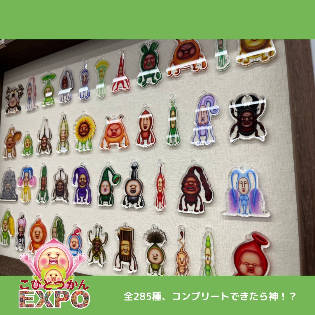 開催中】#こびとづかんEXPO ＠池袋サンシャインシティ アネックス 会場