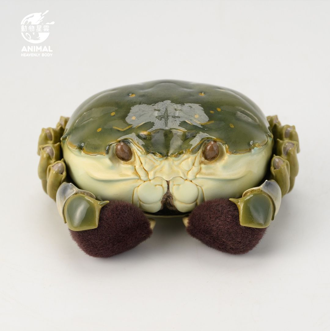 動物の惑星】中秋限定 シャンハイガニ 動物の惑星】中秋限定