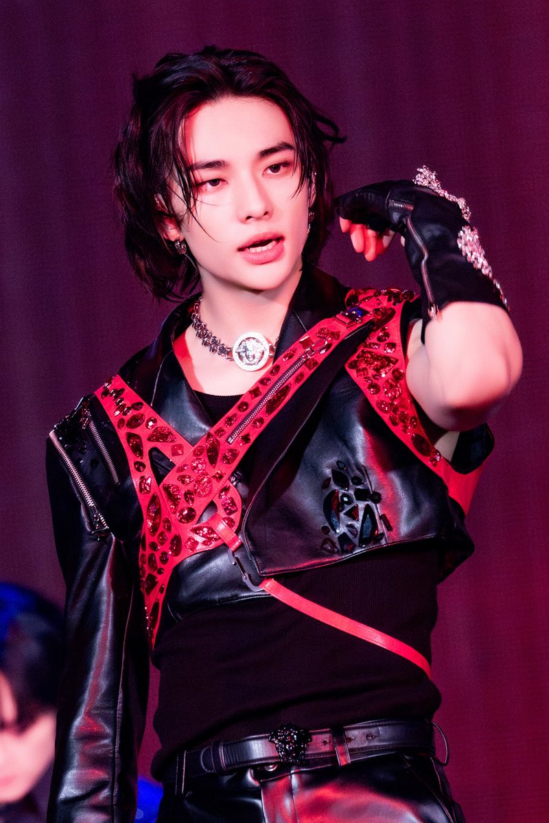 LIVE Blu-ray『Stray Kids 5-STAR Dome Tour 2023』 D-4