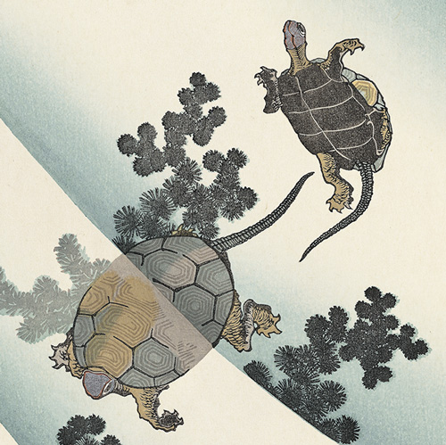 明日は #敬老の日。「鶴は千年、亀は万年」と言うように、鶴亀は長寿の