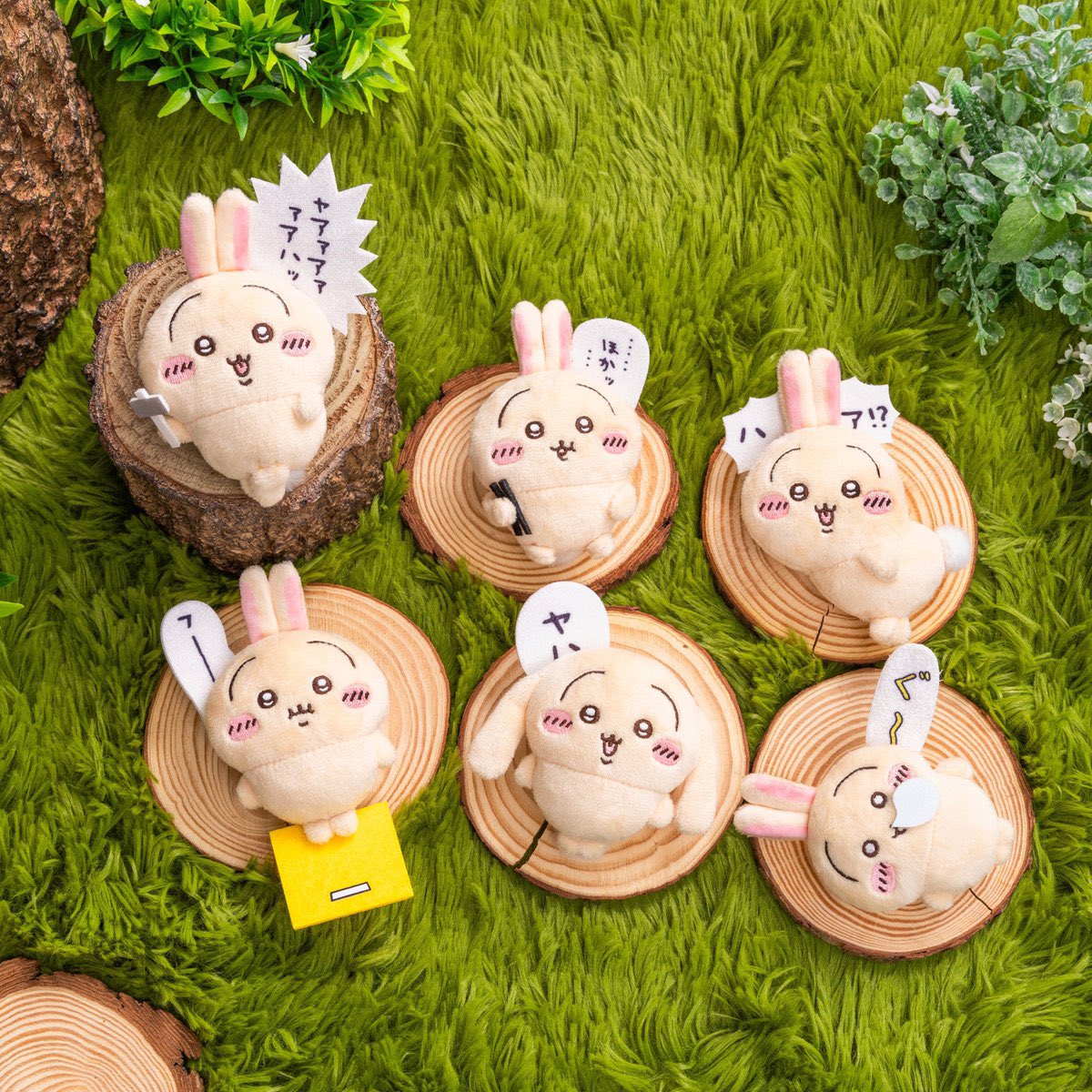 うさぎだらけくじ／ 本日10月15日(火)より 『うさぎだらけくじ』発売中