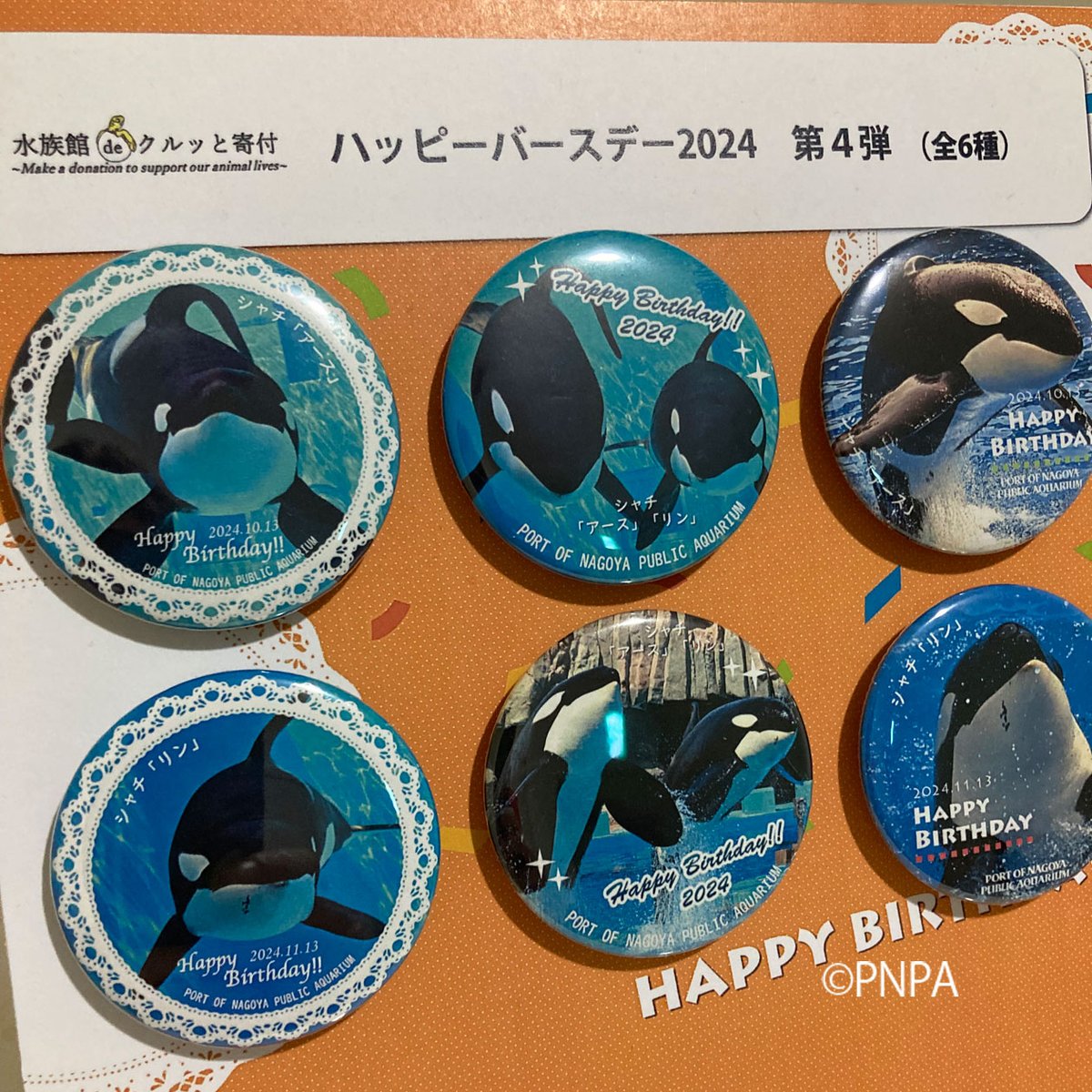 生き物の暮らしを応援いただく「#水族館deクルッと寄付」 皆様の予想