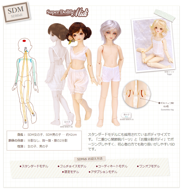 スーパードルフィーミディ（SDM）とは？ ミニスーパードルフィー（MSD