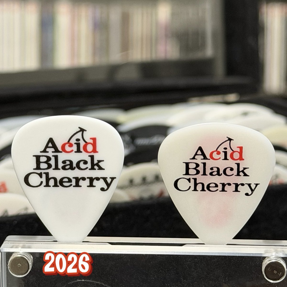 Acid Black Cherry FILM LIVE 2026.1.28 Zepp DiverCity 3柵目だった
