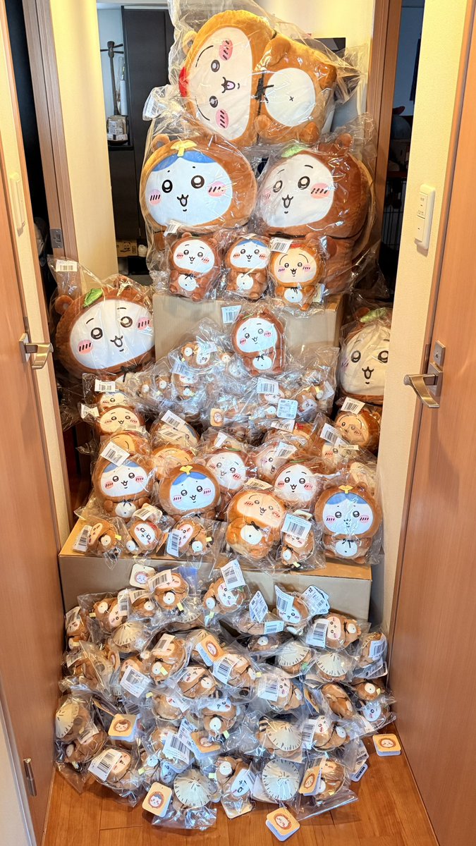 135匹のたぬきだもん。 (@tanukidamon135) / Posts / X