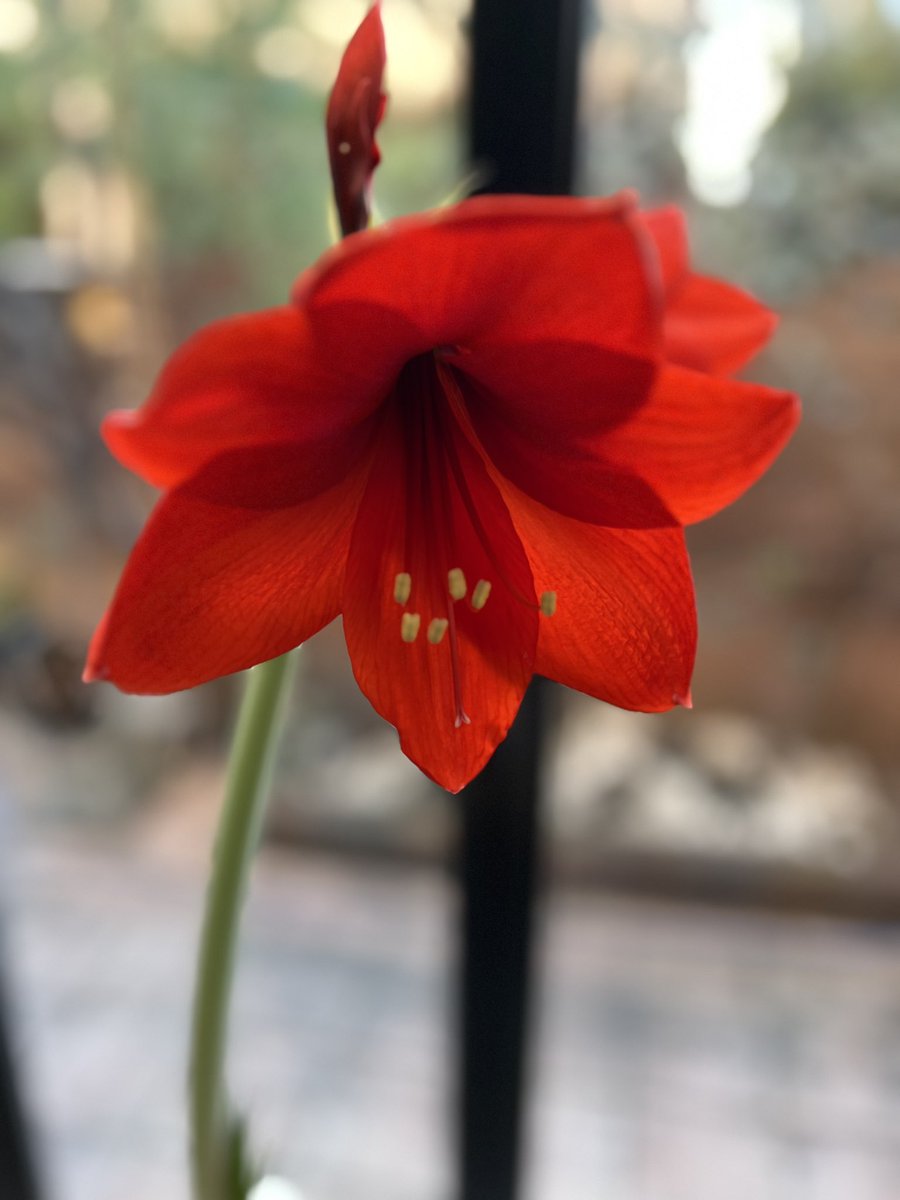 ひろりん (@HEt22epN16dgFf4) / Posts / X