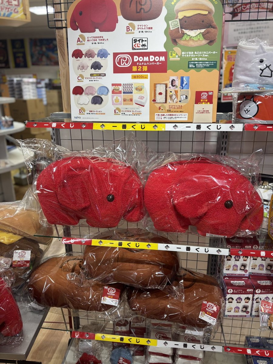 🌈くじ情報🌈 ┈┈┈┈┈┈┈┈┈┈┈┈┈┈ 1月23日(土)☆発売