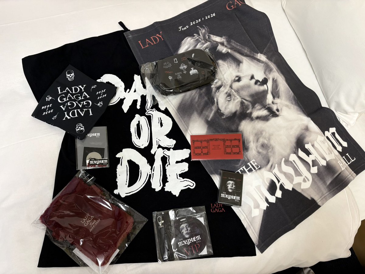 LadyGaga VIP Silver MAYHEM Ball VIP限定グッズ