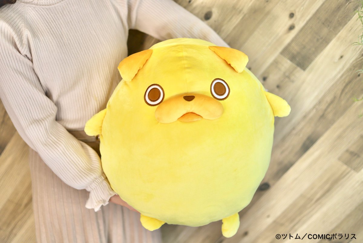 11月商品紹介／ 「パグ太郎 もっちりBIGぬいぐるみ」 「#パグ太郎」が