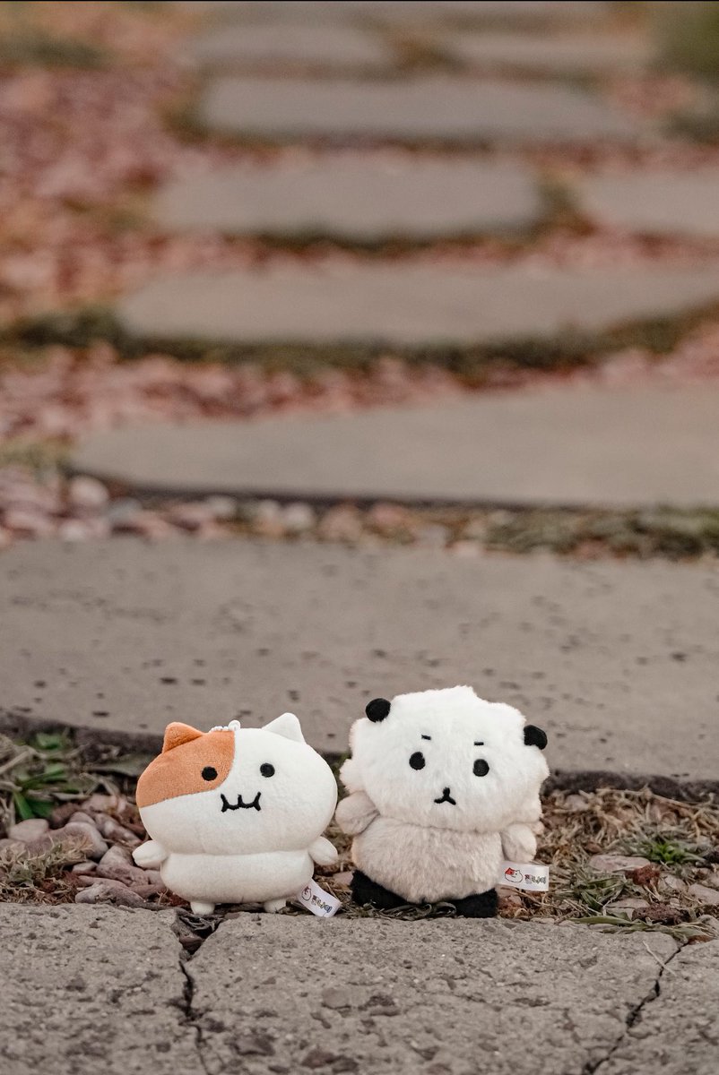 たくさんお問い合わせ いただいております、 韓国で販売されている