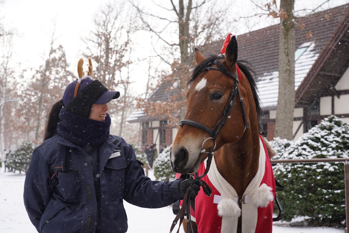 パークの人気アクティビティ「観光ひき馬」では、25日までクリスマスの