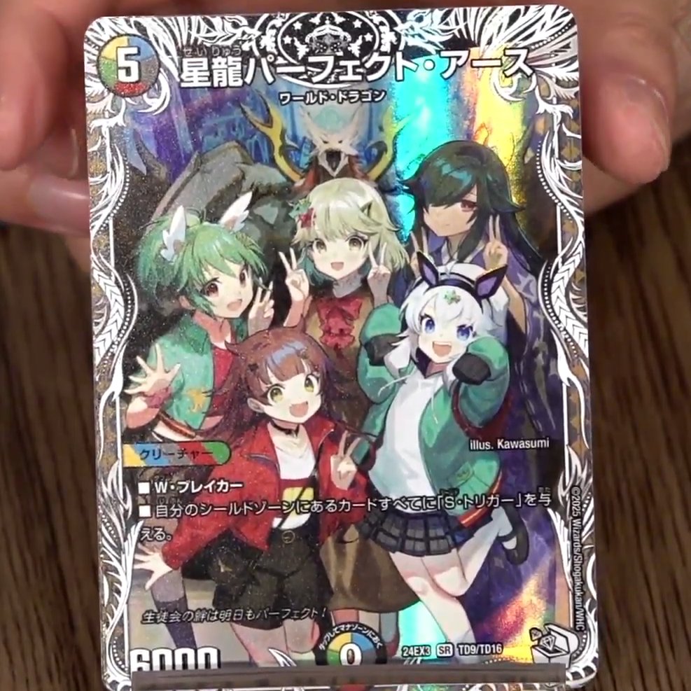 星龍パーフェクトアース プレイマット スリーブ スリーブ『[GP2025-1st
