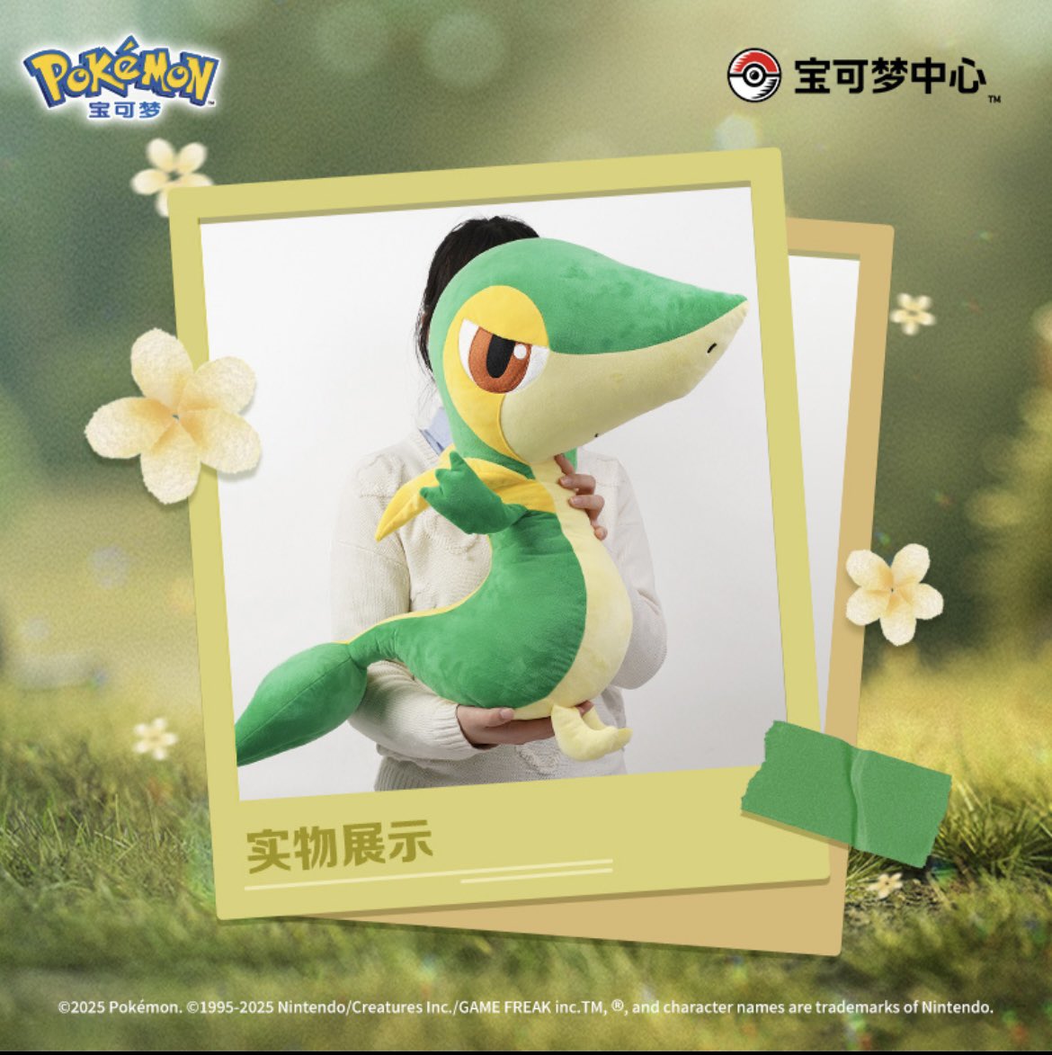 ポケモンセンター限定 m1345 等身大 ツタージャ ぬいぐるみ