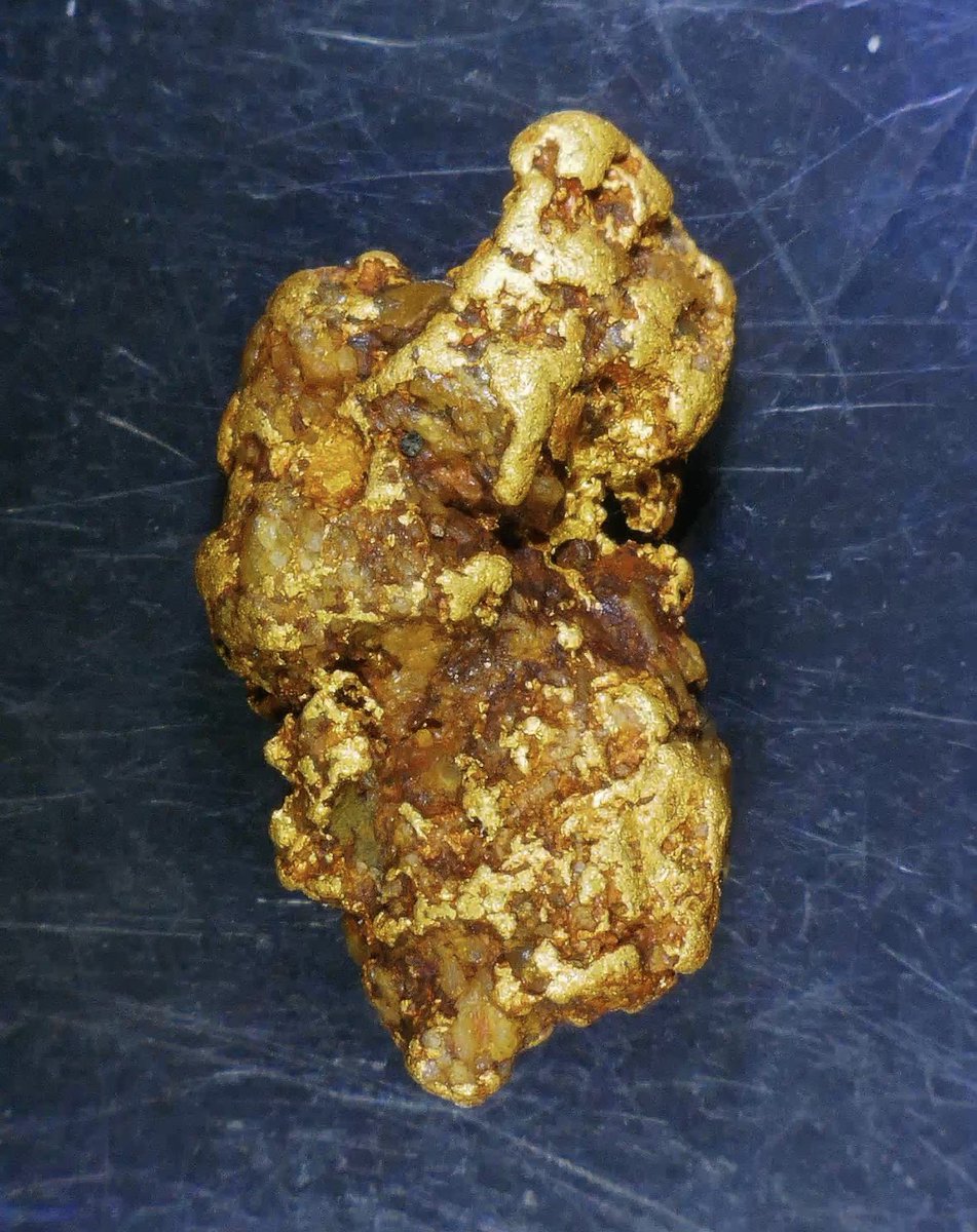 昨日採取した砂金塊(2.21g) 昨日とある川で砂金採り中に見つかった特大