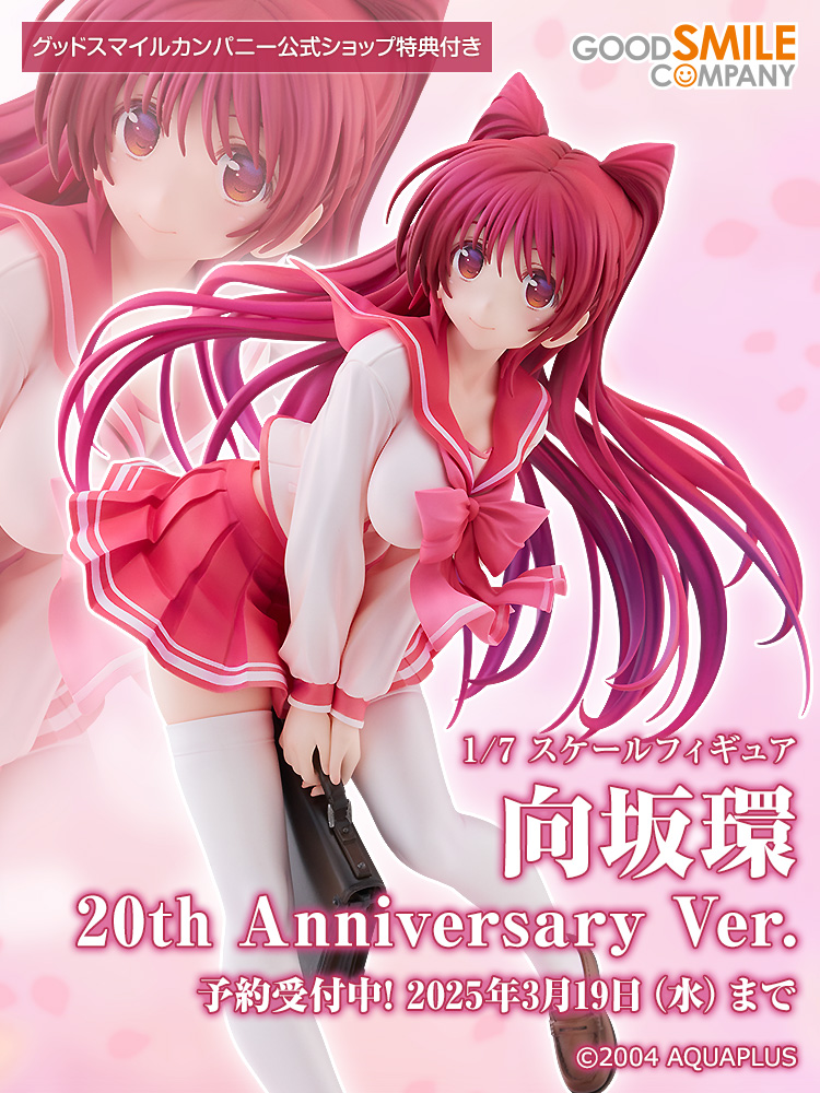 🌸 新商品情報 🌸 ￣￣￣￣￣￣￣￣￣￣ 向坂環 20th Anniversary Ver