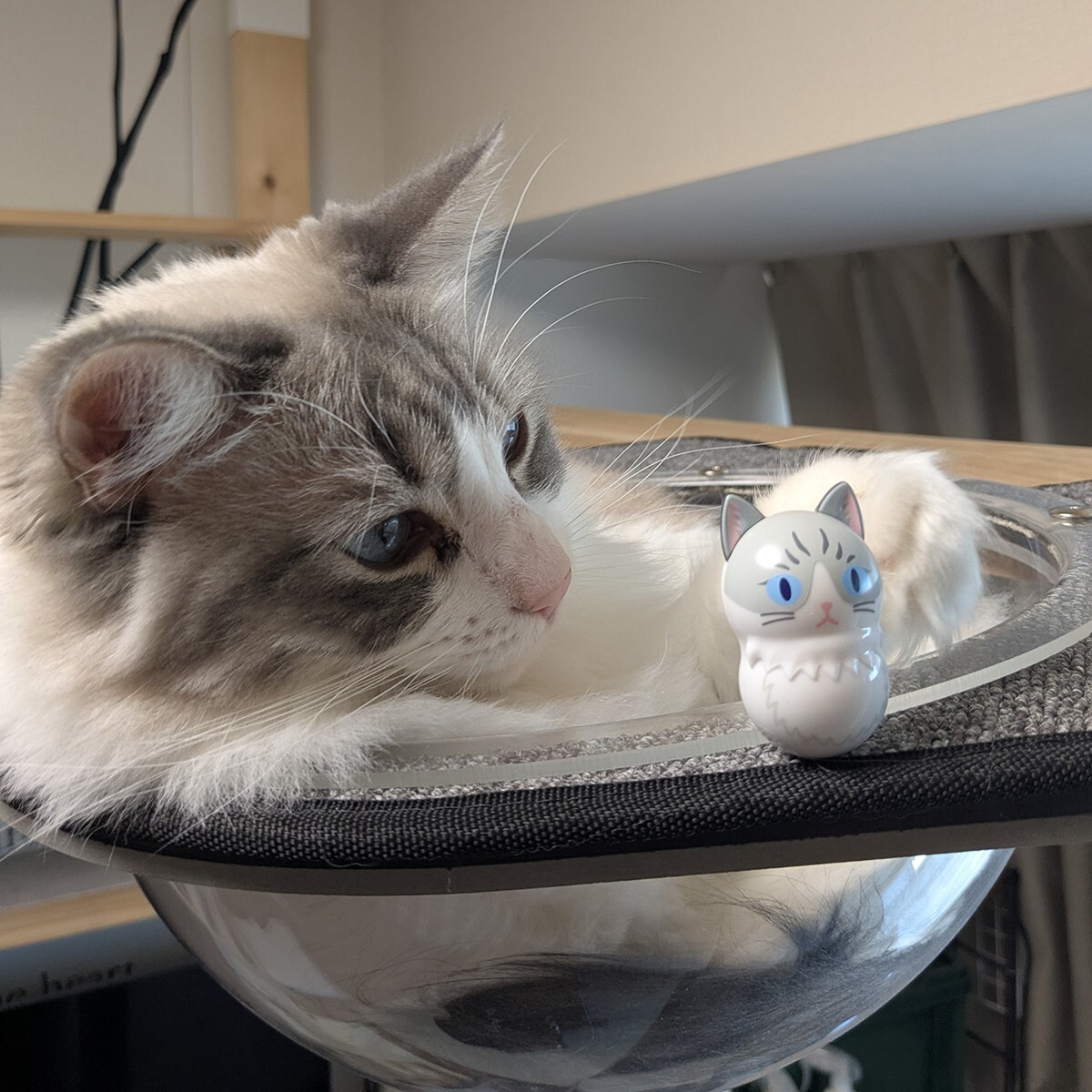 😺#クーニャッツ2 レポート④😺／ 【お菓子売り場にて好評発売中】 猫