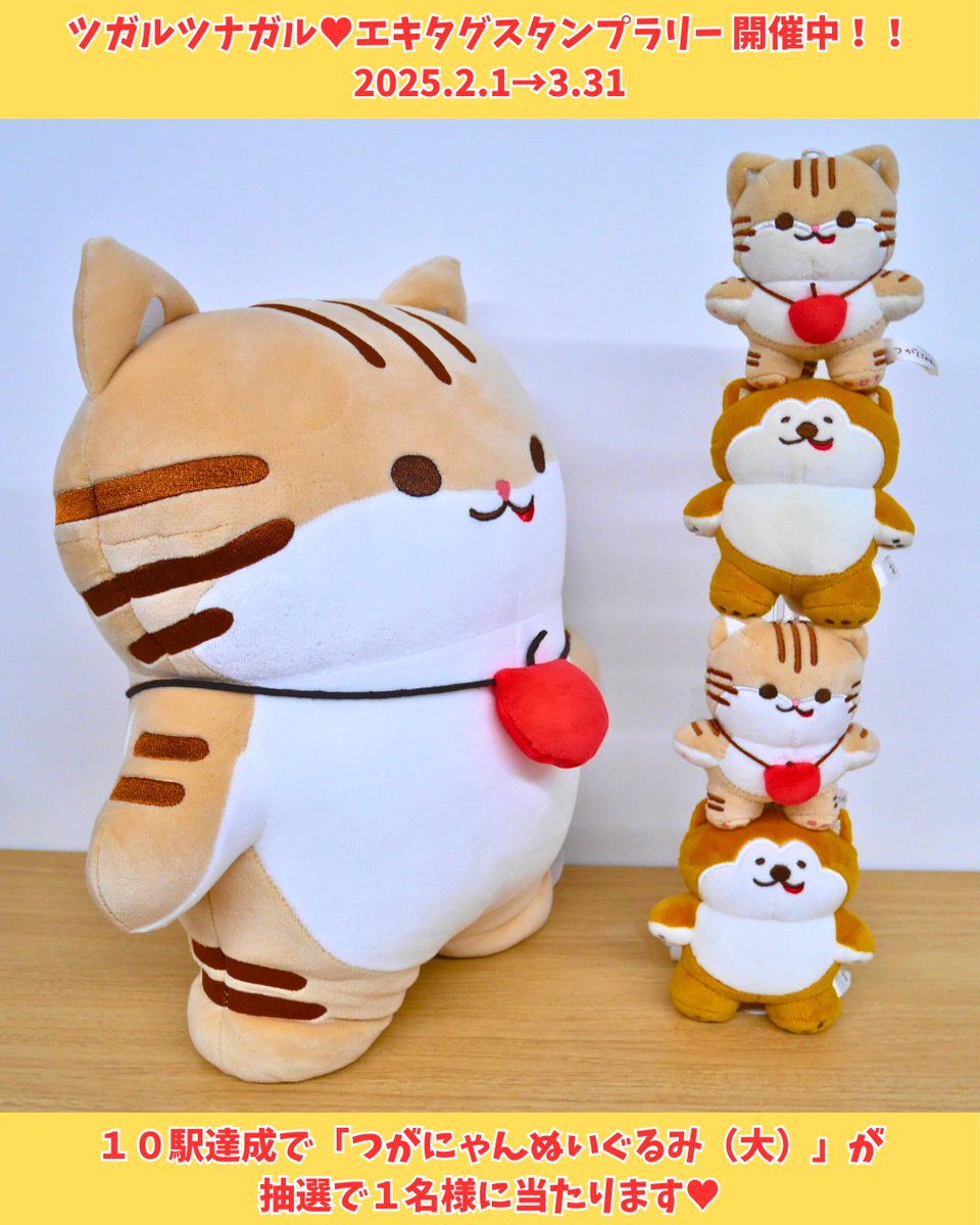 ━━*＼📢3/31まで開催🚉／*━━ 行くべ❣冬の津軽🦑🌊 ツガルツナガル