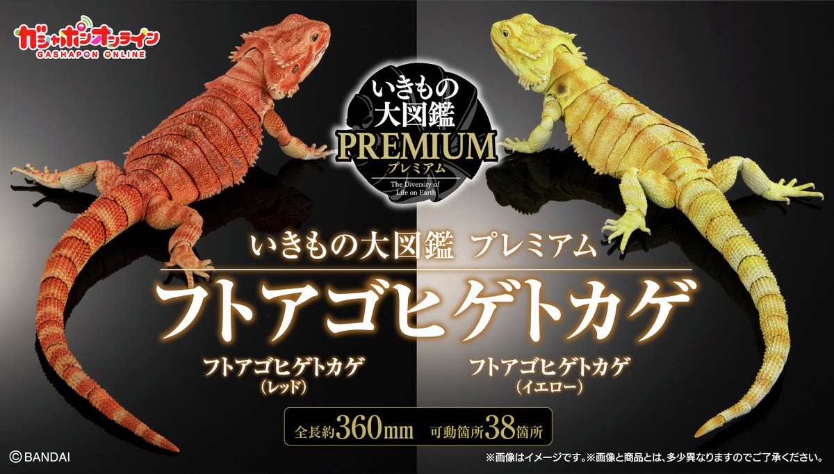 いきもの大図鑑 プレミアム フトアゴヒゲトカゲ ＼＼ #ガシャポン