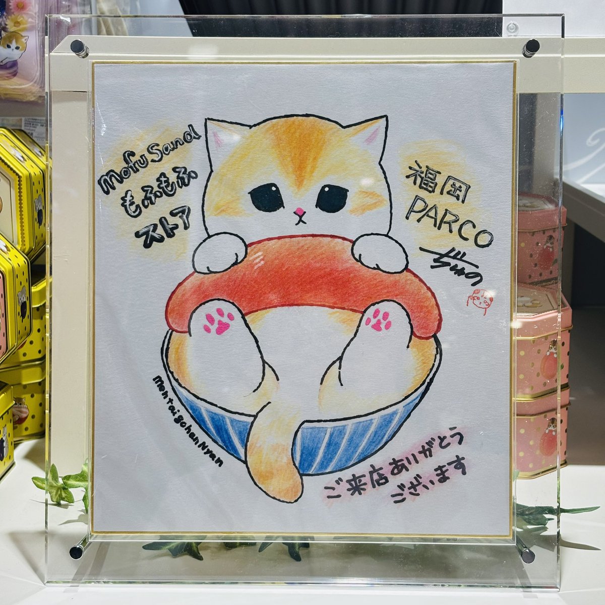 mofusandもふもふストア福岡PARCO ＼今日は🐱ねこの日🐾／ #ぢゅの