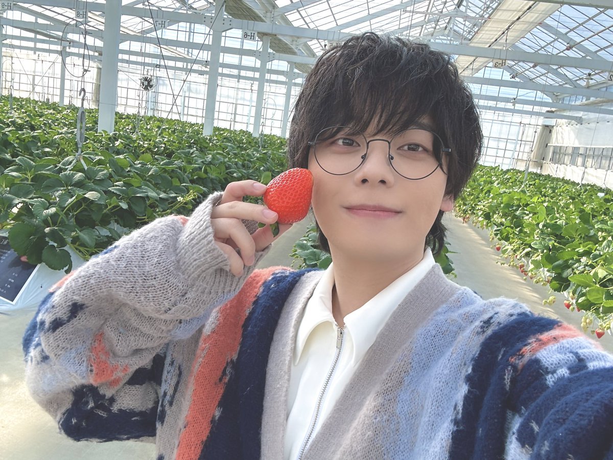 Post by 宮川大聖 / みやかわくん on X: 🍓