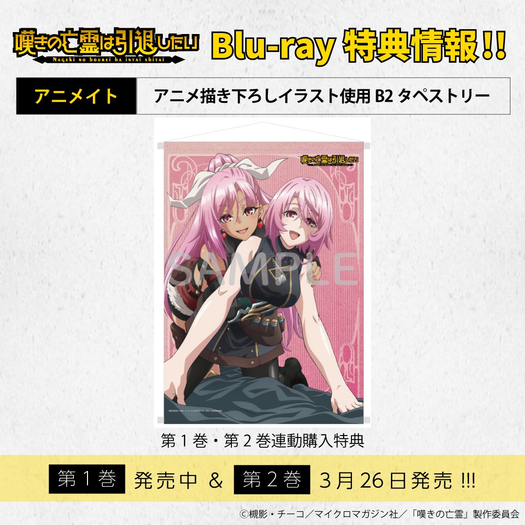 嘆きの亡霊は引退したい ⚡️Blu-ray1巻好評発売中✨ 💎アニメイト特典