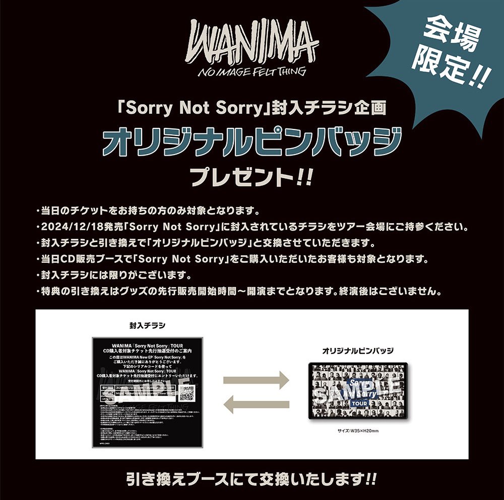 Sorry Not Sorry TOUR】 「Sorry Not Sorry」 CDの中に入っている封入