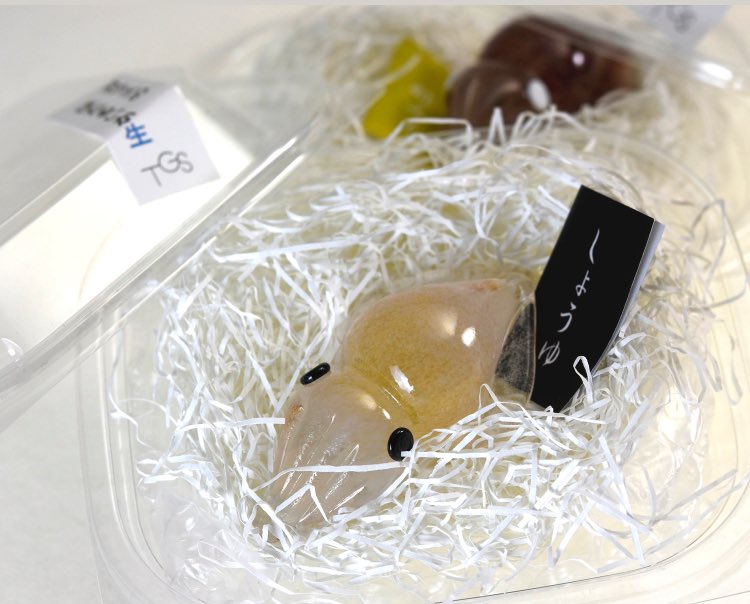 Gok1VNHXMAATAZh.jpg?format=jpg