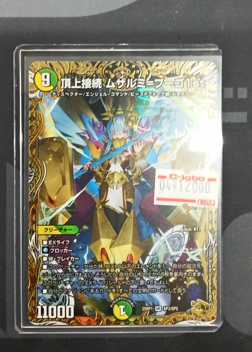 頂上接続 ムザルミブーゴ1st 25RP1 SP3/SP5