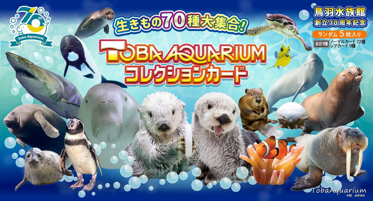 TOBA AQUARIUMコレクションカード』5/1(木)より発売決定❣️ 創立70