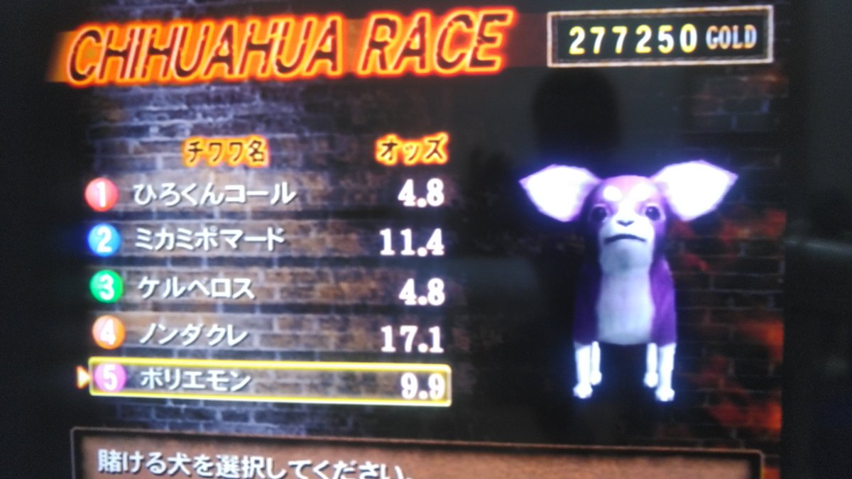 NotVegaMe ドーモ、元プレイヤー側から失礼します 実は毒チワワの名前